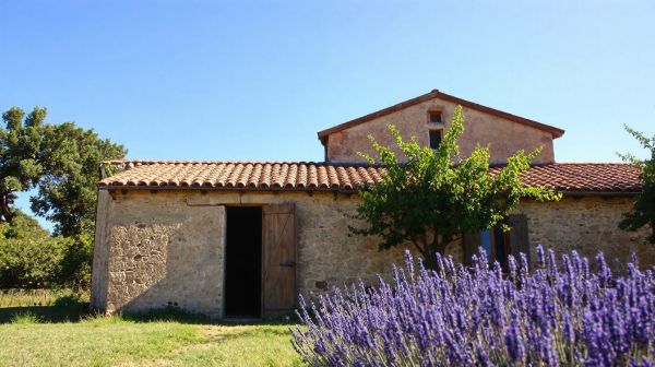 Top recommandations pour lutter contre les nuisibles dans le Vaucluse